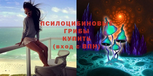 ALPHA PVP Вяземский