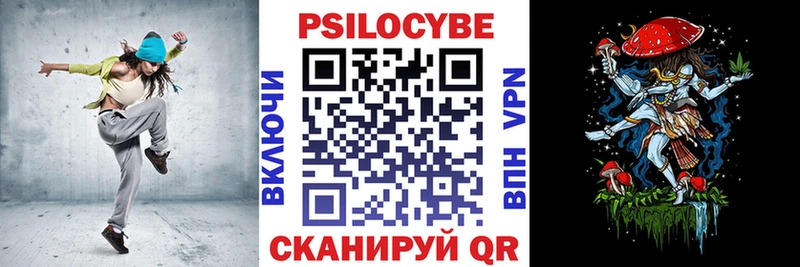 Купить Сольвычегодск Псилоцибиновые грибы Psilocybe